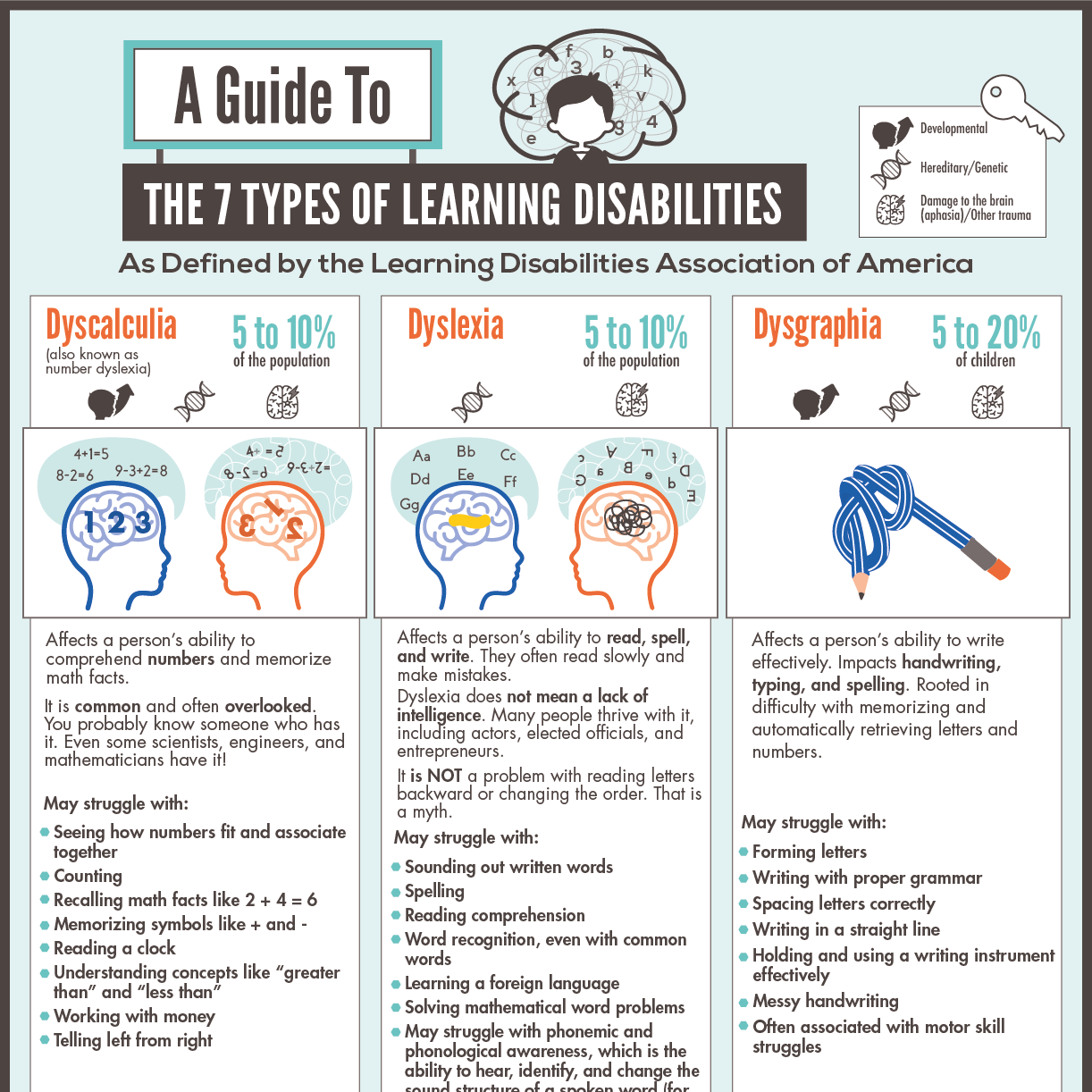 A Guide To The 7 Types Of Learning Disabilities PlaygroundEquipment